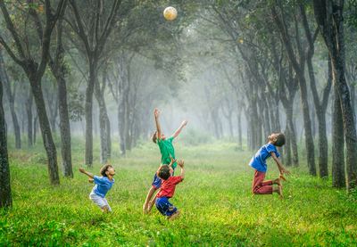 Picture of children playing with a ball in the grass with surrounding trees